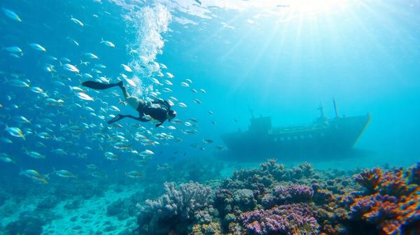 Découverte de la plongée : plongée sous-marine captivante